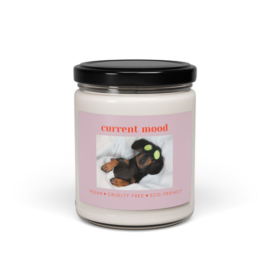 Current Mood Scented Soy Candle